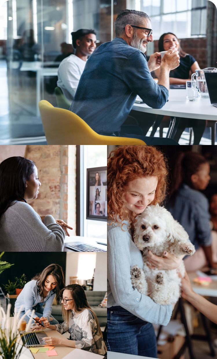 Grid of images featuring a man sitting at a desk, a woman on a video call, a woman holding a dog, and two women collaborating